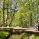 fundering vlonderpad